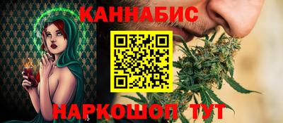 гашик Камышлов