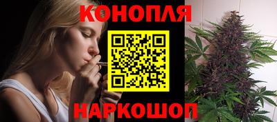 гашик Камышлов